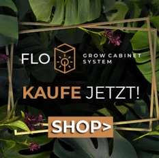 growbox komplettset led